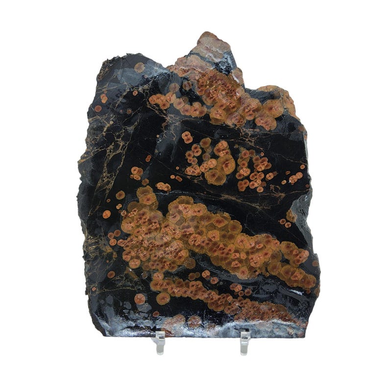 May include: A large, irregularly shaped slab of black and orange stone with a unique pattern of small, round orange spots. The stone is displayed on a white background.