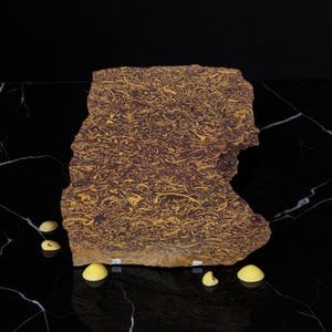 Calligraphy Jasper, Script Stone, slab, cabbing rough, #R-7152