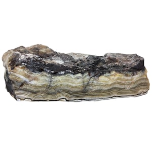 Mexican Lace Agate, 2 lbs, cabbing rough, lapidary material, #R-6613