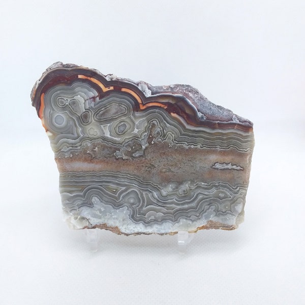 Laguna Lace Agate, slab, cabbing rough, lapidary, gemstone, specimen, mineral, rock, red, gray, #R-4805