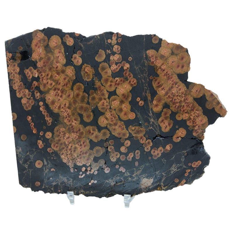 May include: A large, irregularly shaped slab of black and brown stone with a unique pattern of small, round, orange-brown spots. The stone has a rough, natural texture.