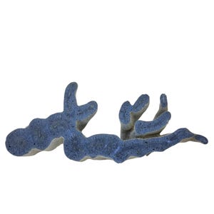 Blue Coral, 11.5&quot;, Fossil Coral, display, specimen, #R-6655