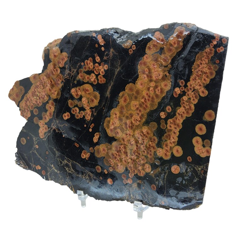 May include: A large, irregularly shaped slab of black and orange jasper with a swirling pattern of orange and red spots. The jasper is polished and has a smooth surface.