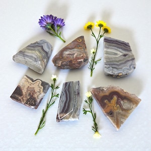 Puede incluir: Vista aérea de rodajas de ágata pulidas en tonos grises, marrones y crema, intercaladas con ramitas de flores amarillas y blancas, y un racimo de flores moradas. Las piedras muestran patrones de bandas únicos.