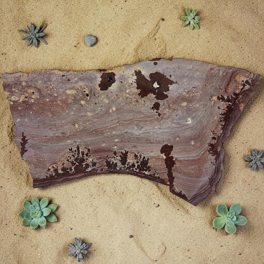 Apache Dendritic Rhyolite, Apache Sage, Cabbing Rough, #R-7031 - Etsy