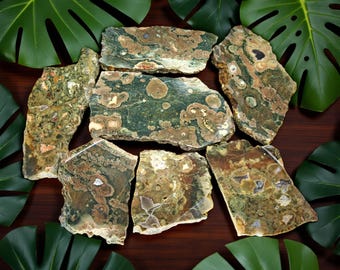 Jaspe de la selva tropical, Australia, lote, en bruto para tallar, lapidario, #R-6822