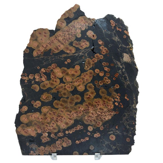 Peanut Obsidian, slab, cabbing rough, lapidary, gemstone, #R-6222