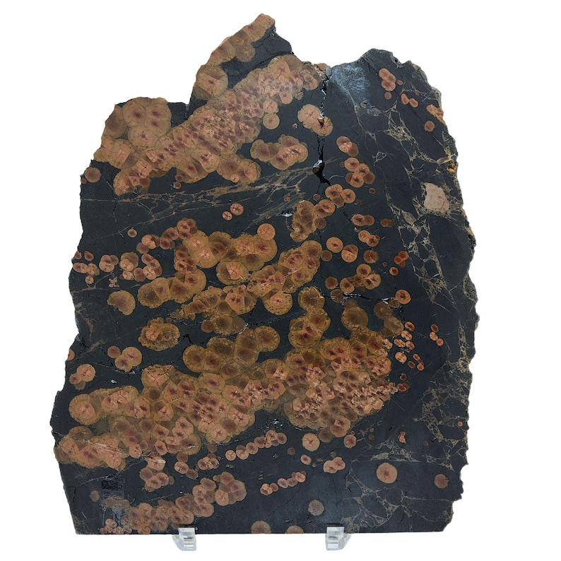 May include: A large, irregularly shaped slab of black and brown stone with a unique pattern of small, round, copper-colored spots. The stone is on a white background.