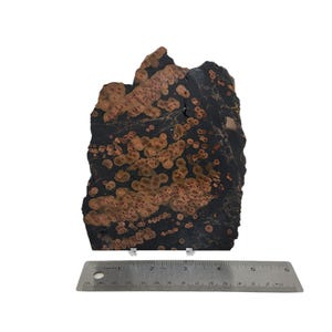 May include: A large, irregularly shaped slab of black and orange stone with a speckled pattern. The stone is approximately 6 inches wide and 5 inches tall.