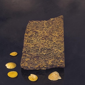 Calligraphy Jasper, Script Stone, slab, cabbing rough, #R-7049