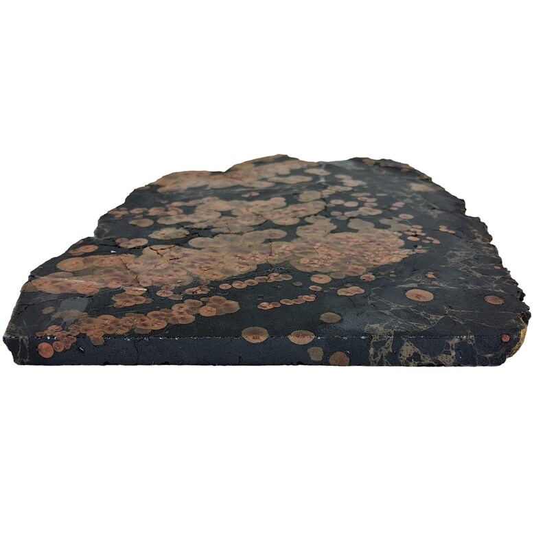 May include: A close-up of a dark gray and black stone with copper-colored spots. The stone has a rough, natural texture.