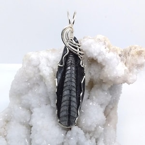 Orthoceras, Fossil, wire-wrapped, necklace, sterling silver, handmade, #2040