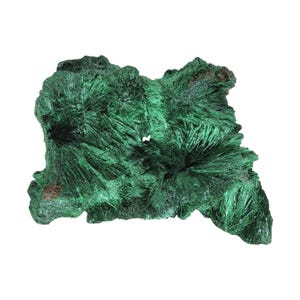 Malachite, 2.5&quot;,  fibrous, high grade, display, specimen, #R-3305
