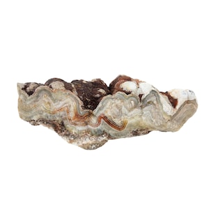 Laguna Lace Agate, 2.75 lbs, cabbing rough, botryoidals, #R-6638