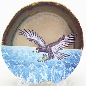 Achat Scheibe, Adler, Tier, Foto, Edelstein, Exemplar, Mineral, braun, blau, weiß, #R-3102