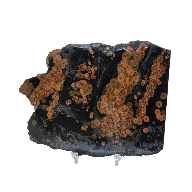 May include: A large, irregularly shaped slab of black and orange jasper with a unique pattern of orange spots and swirls. The jasper is polished and has a smooth surface.