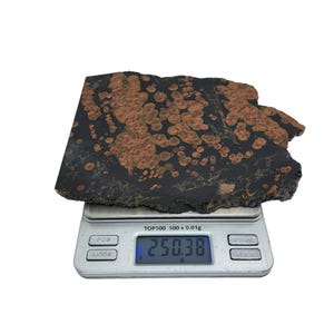 May include: A dark gray and copper-colored rock with a unique pattern of small, round copper-colored spots. The rock is on a digital scale that reads 250.38 grams.