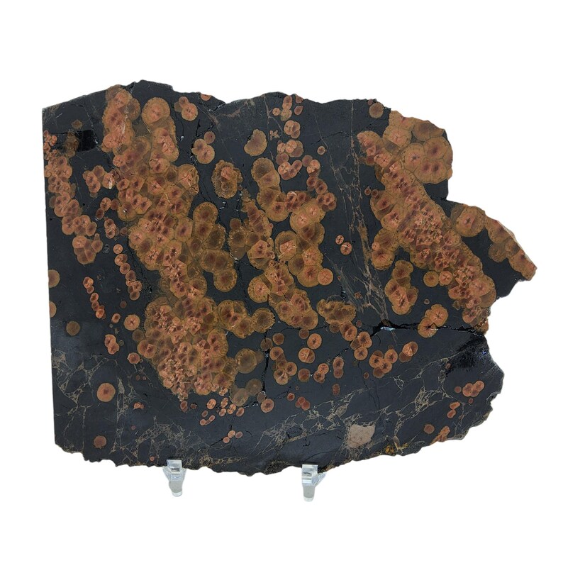 May include: A large, irregularly shaped slab of black and orange stone with a unique pattern of small, round orange spots. The stone has a rough, natural texture.