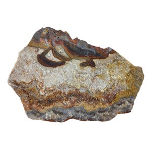 Crazy Lace Agate, slab, old stock, cabbing rough, #R-6604