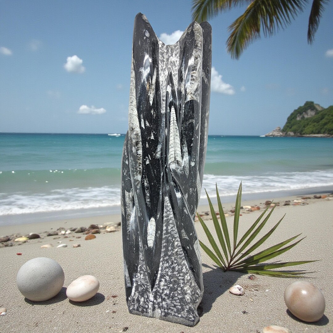 Orthoceras, Fossil, 12.25