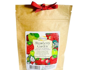 Strawberry Garden Grobag Seed Kit
