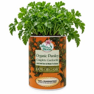 Organic Parsley Herb Garden Grocan Seed Kit