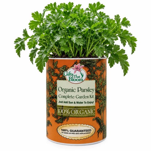 Organic Parsley Herb Garden Grocan Seed Kit
