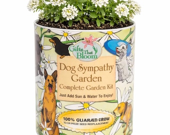 Dog Sympathy Garden Grocan Seed Kit