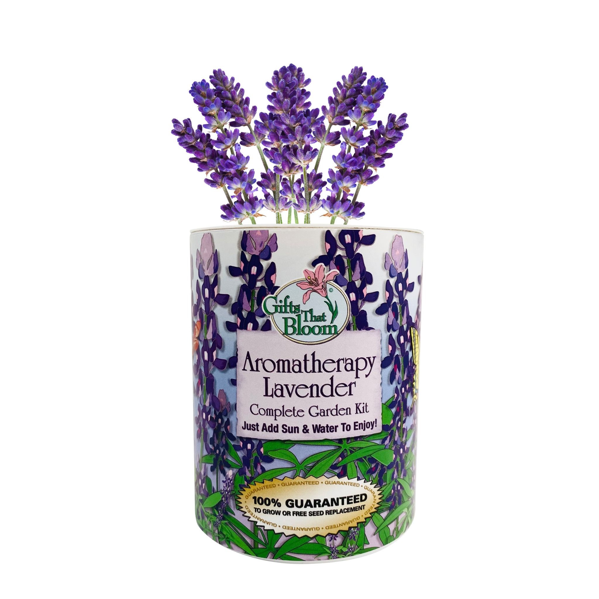 Aromatherapy Lavender Garden Kit Etsy