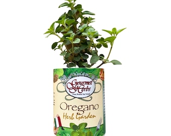 Oregano Herb Garden Grocan Seed Kit