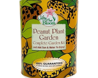Peanut Plant Garden Grocan