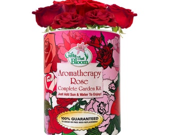 Aromatherapy Rose Garden Grocan