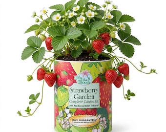 Strawberry Garden Grocan Seed Kit