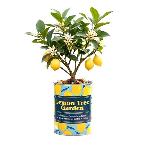 Lemon Tree Garden Grocan Seed Kit