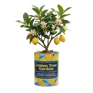Lemon Tree Garden Grocan Seed Kit