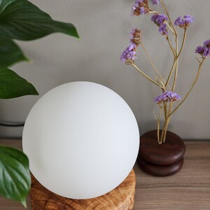 Moonwake Lamp Ash Table Lamp Globe Lamp Moon Lamp Wood Lamp Dimmer Switch image 7