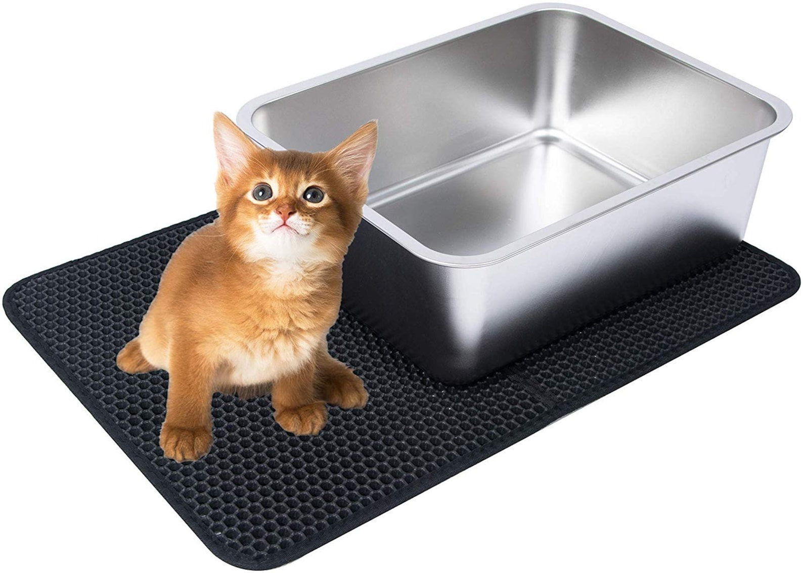 Stainless Steel Litter Box for Cat and Kitten 6 Inch Side Etsy