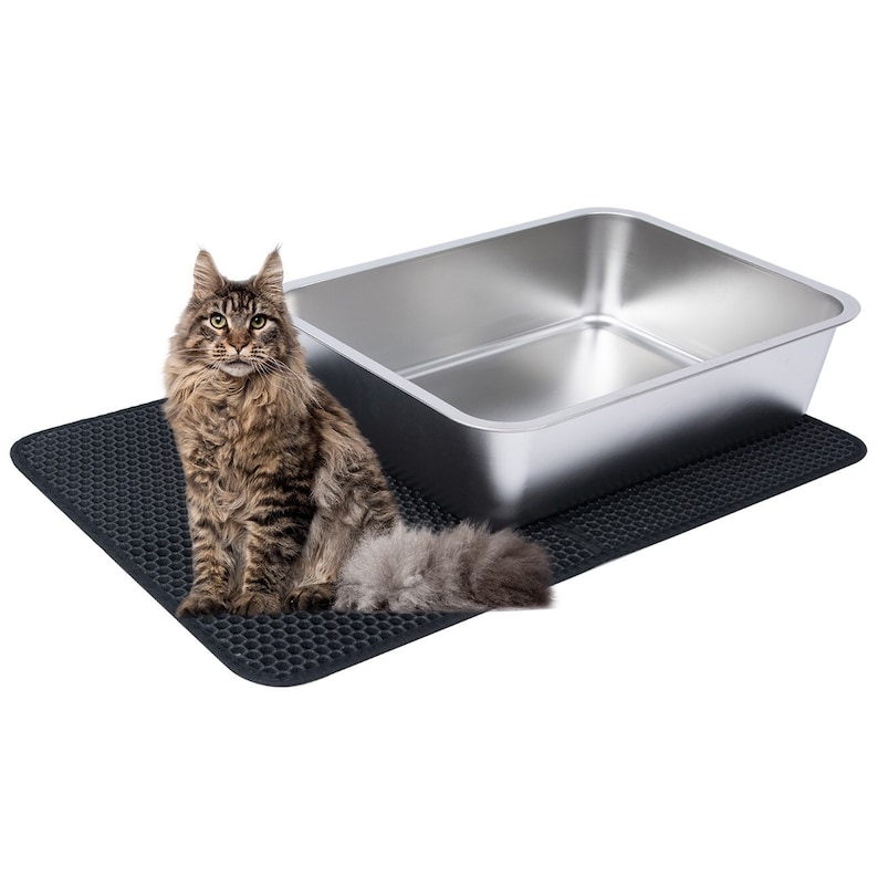 Stainless Steel Litter Box for Cat and Kitten Easy to Clean 6 inch Side