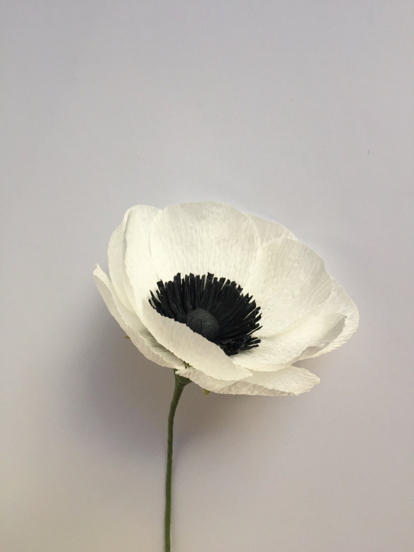 Crepe Paper Anemone White Single Stem Paper Flowers Etsy