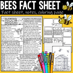 May include: An educational fact sheet about bees, with text and illustrations. The sheet covers bee behaviour, diet, appearance, and conservation. A set of colourful markers is in the foreground.