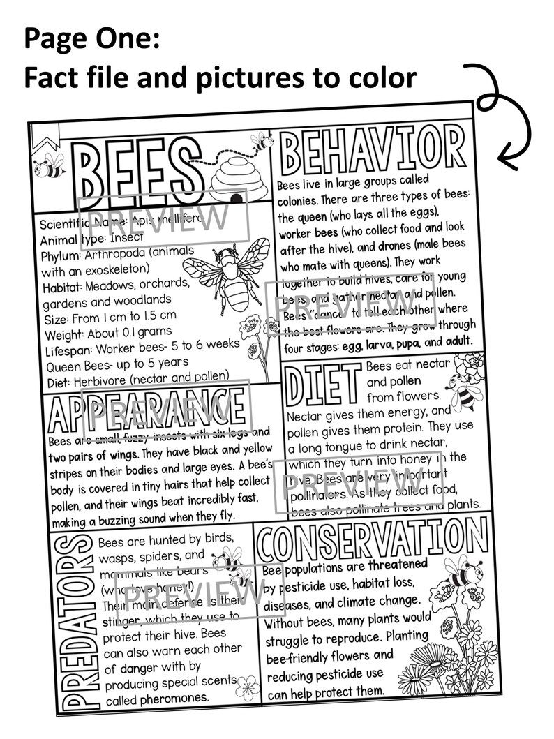 Bees Coloring Page and Graphic Organizer Animal Study Printable Perfect ...