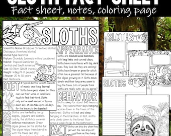 Sloths Coloring Page and Graphic Organizer Animal Study Printable perfect for Educational Homeschool Coloring & Animal Research