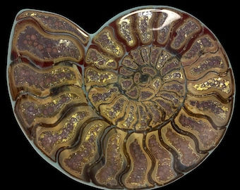 Natural Ammonite Art With Pure Silver Accents