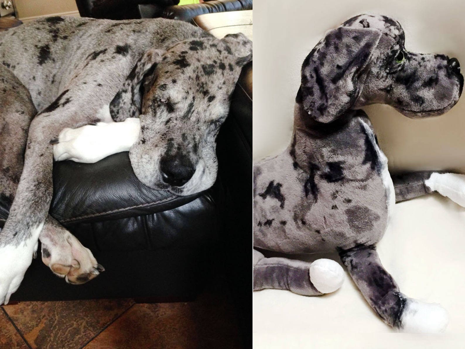 Great Dane Puppy Stuffed Animal Stuffed Dane Toy Great Dane Etsy