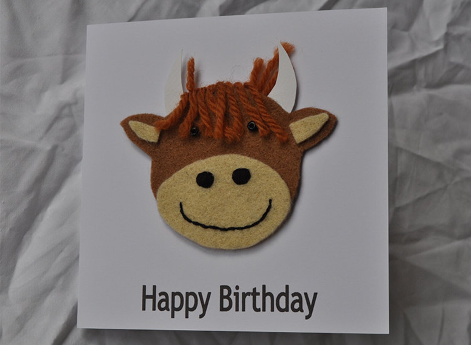 scottish highland cattle happy birthday