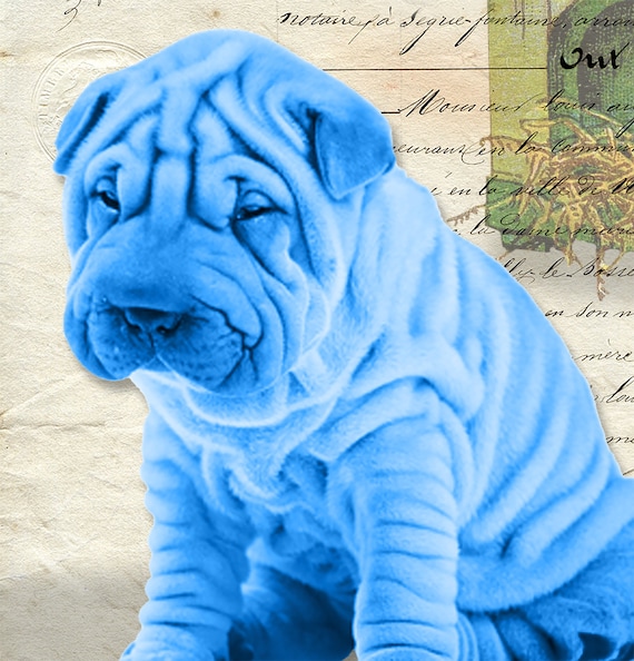 Original Art | Wrinkles Should Merely Indicate Where Smiles  display picture 2
