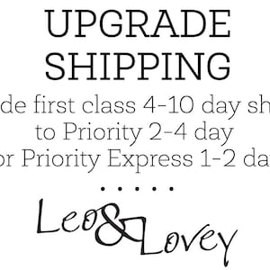 Può includere: Opzioni di spedizione aggiornate per prima classe, priorità e priorità express. Il testo recita: "Upgrade first class 4-10 day shipping to Priority 2-4 day or Priority Express 1-2 day.  .....  Leo & Lovey"