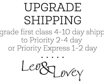 Upgrade regular shipping to PRIORITY or PRIORITY EXPRESS