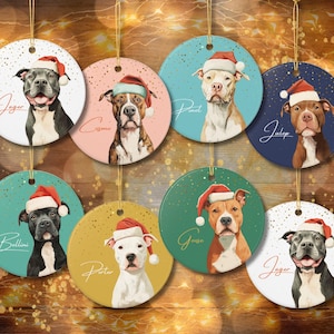 Może przedstawiać: Kolekcja okrągłych ozdób choinkowych z portretami psów w czapkach Świętego Mikołaja. Każda ozdoba ma inną rasę psa i imię, ze złotym sznurkiem do zawieszenia. Tła mają różne kolory.