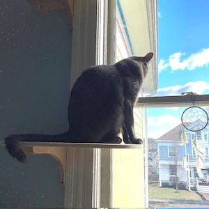 Könnte beinhalten: Ein Set aus drei Keramikbechern mit gesprenkelter, matter Oberfläche. Die Becher sind in Creme-, Hellgrau- und Dunkelgrautönen gehalten. Jeder Becher hat ein schlichtes, minimalistisches Design.